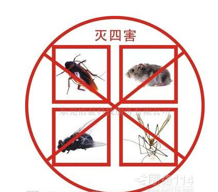 电子杀虫灯的技术原理是什么？