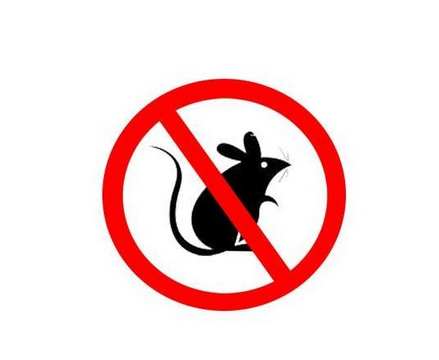 过量的灭鼠剂对人体有害